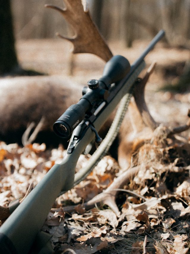 Rifle with fallow buck