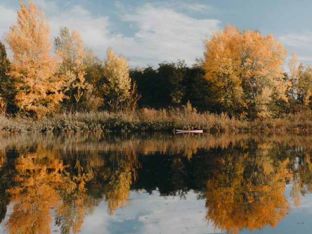 Lake in fall